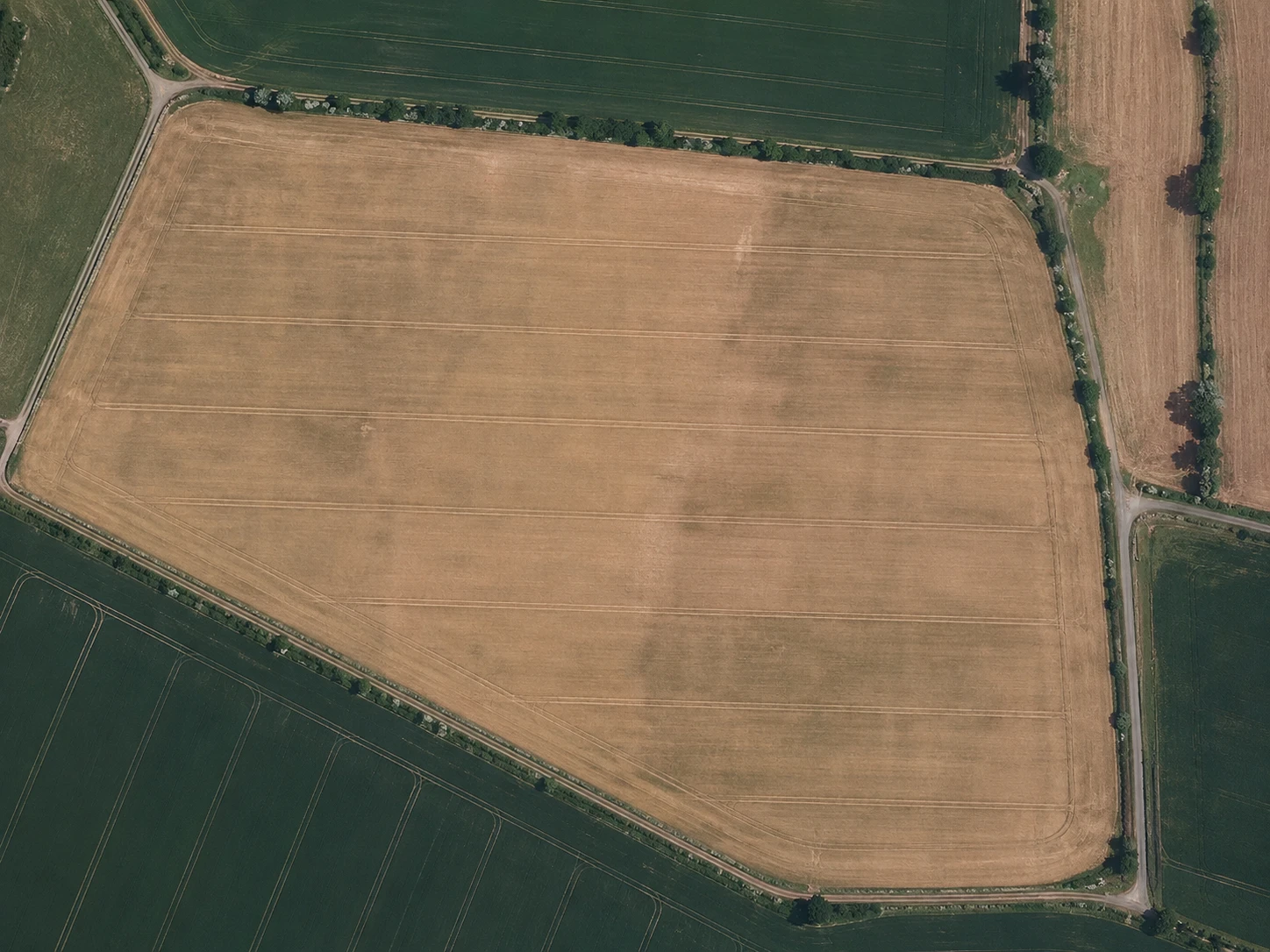 Aerial view of a rapeseed field with a sample NDVI layer beside it. Sample image, not farm data.